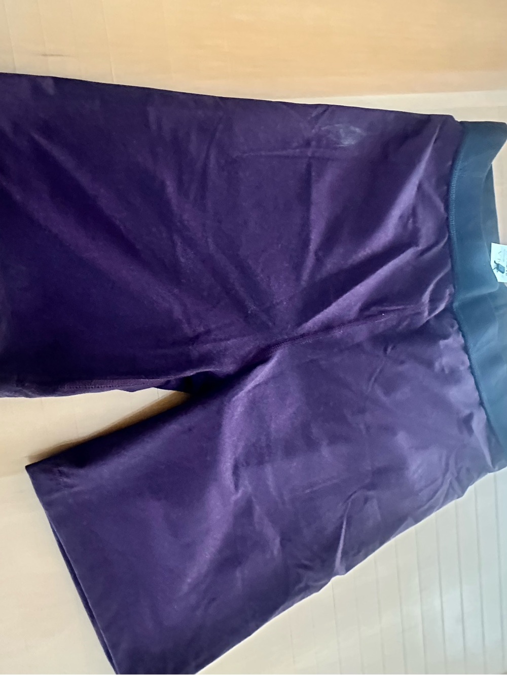Alala Plum and Black Performance Shorts